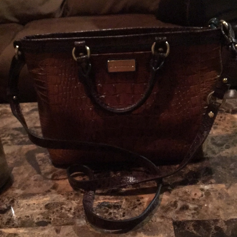 BEAUTIFUL BRAHMIN PURSE